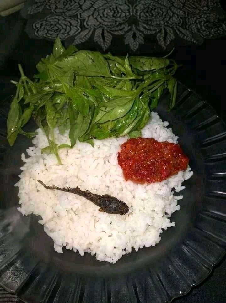 Definisi Berbeda-Beda